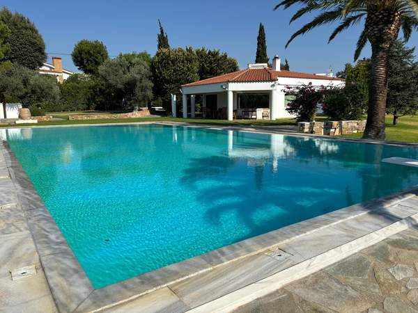 תמונת מרקו פולו, אתונה למכירה (1)