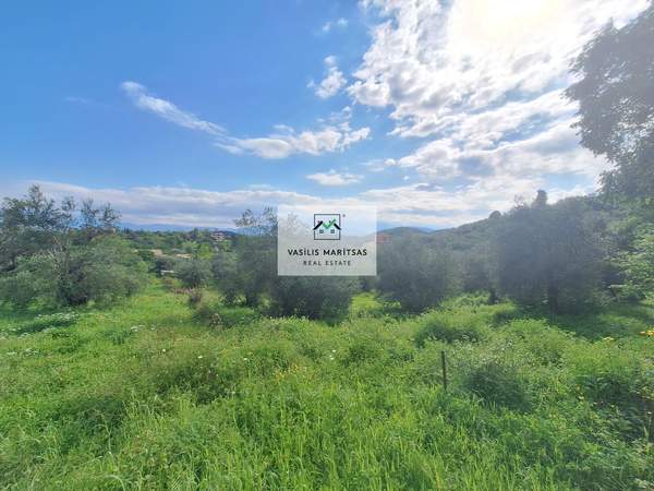 תמונת קורפו למכירה (1)