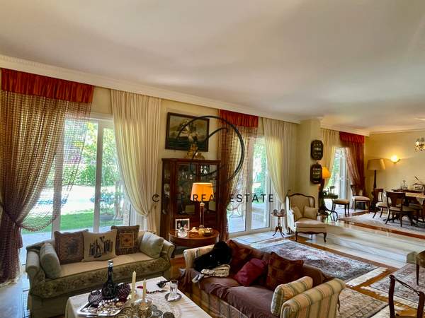 תמונת דיוניסוס למכירה (1)