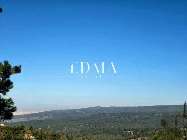 תמונת פאיליה - חורטיאטיס, סלוניקי למכירה