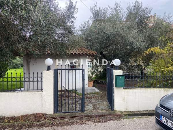 תמונת פרבזה למכירה