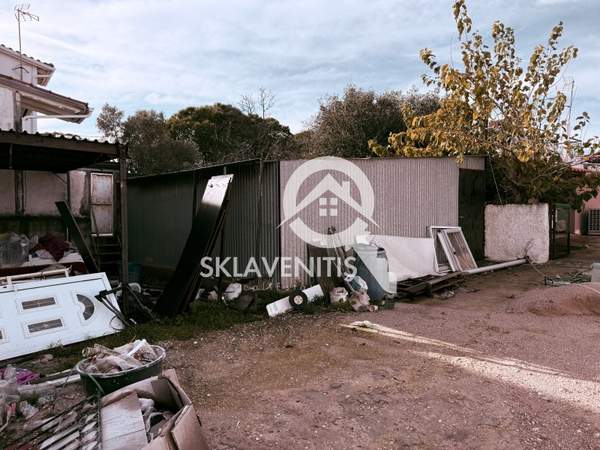 תמונת ספטה ארטמידה למכירה (1)