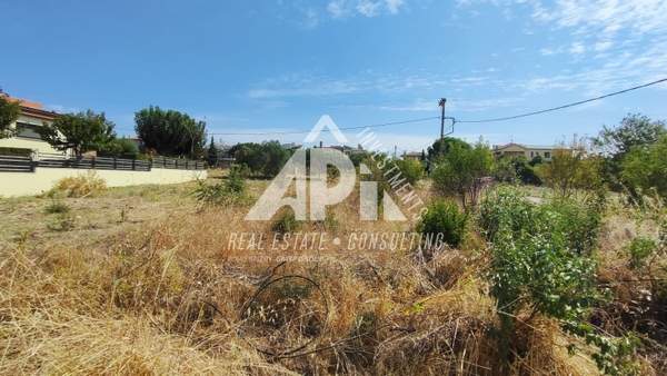 תמונת תרמיקוס, סלוניקי למכירה (1)