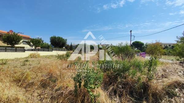 תמונת תרמיקוס, סלוניקי למכירה (0)