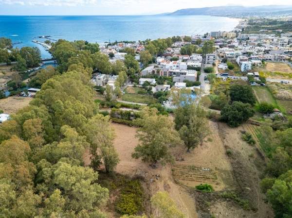 תמונת אפוקורנס, כרתים למכירה (0)