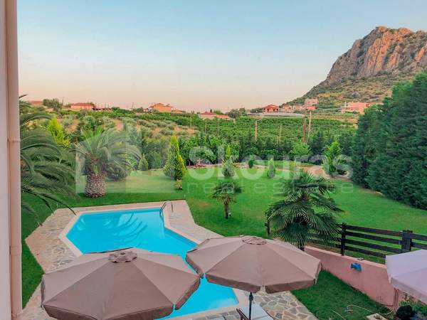 תמונת נאפפליו, פלופונס למכירה (1)