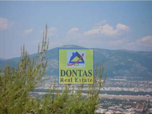 תמונת קיפיסיה, אתונה למכירה (1)