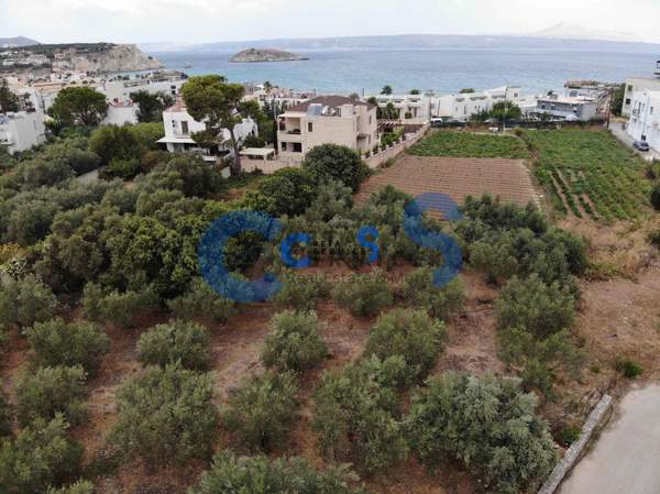 תמונת אפוקורנס למכירה