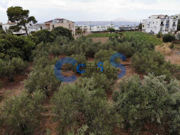 תמונת אפוקורנס למכירה