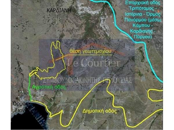 תמונת טינוס למכירה