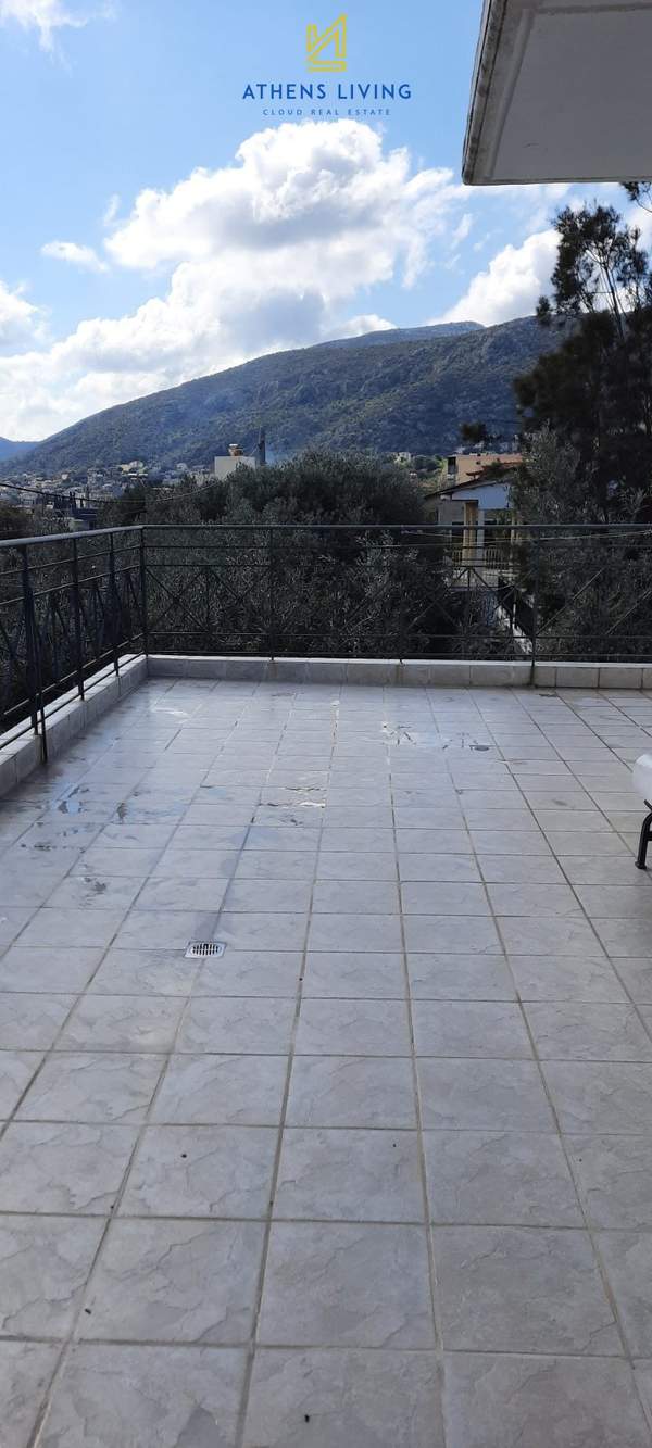 תמונת פורטו ראפטי, מרקו פולו למכירה (0)