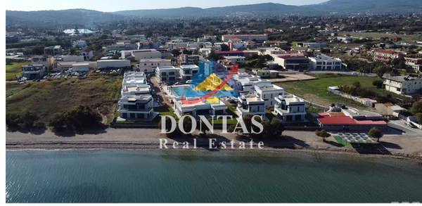 תמונת חיוס למכירה (0)