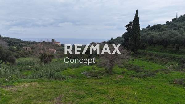 תמונת רשות מקומית זקינתוס למכירה (1)