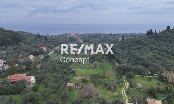 תמונת רשות מקומית זקינתוס למכירה (0)