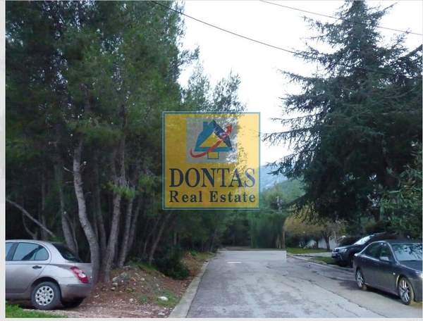 תמונת דיוניסוס למכירה