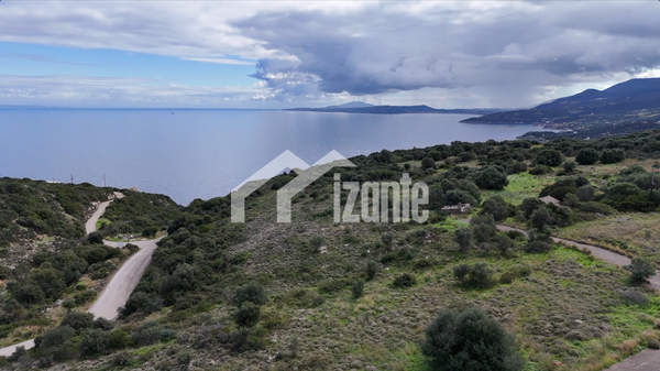 תמונת זקינתוס למכירה