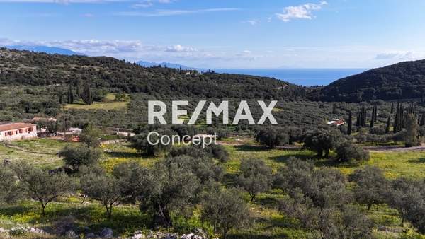 תמונת זקינתוס למכירה (0)