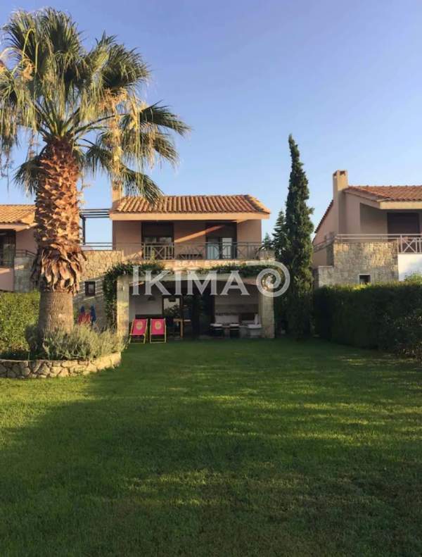 תמונת קסנדרה, כלקידיקי למכירה (0)