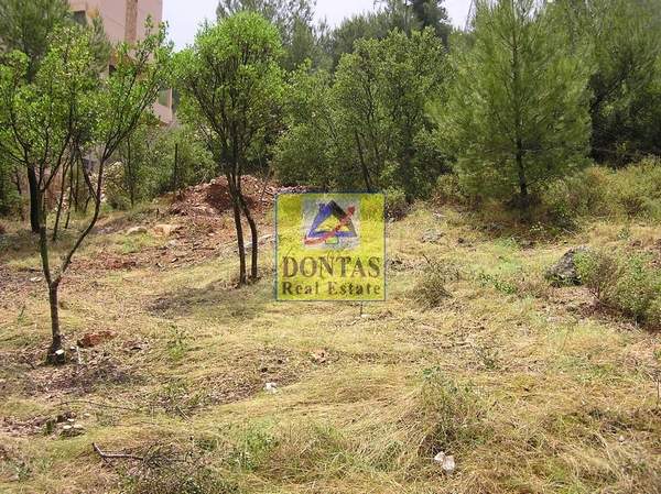 תמונת דיוניסוס, אתונה למכירה (0)