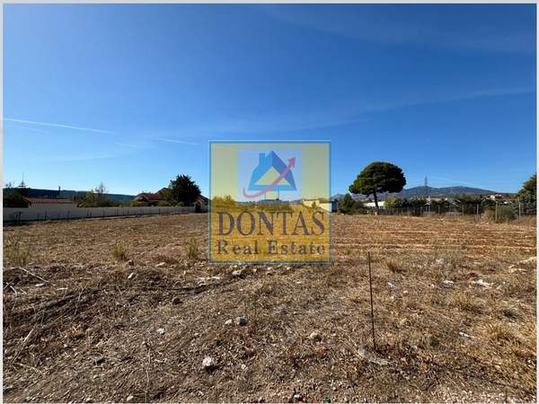 תמונת דיוניסוס, אתונה למכירה (0)