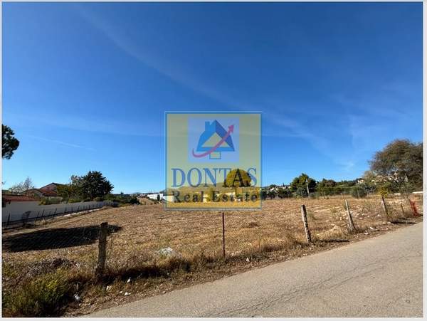 תמונת דיוניסוס, אתונה למכירה (1)