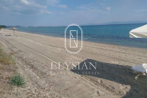 תמונת קסנדרה, כלקידיקי למכירה (1)