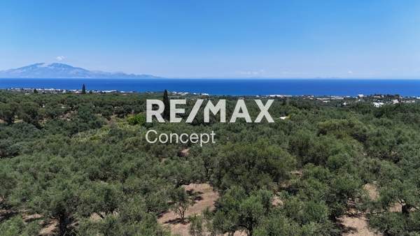 תמונת זקינתוס למכירה (0)