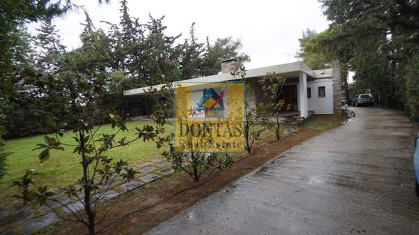 תמונת קיפיסיה, אתונה למכירה (1)