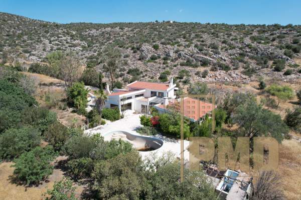 תמונת קורופי למכירה (0)