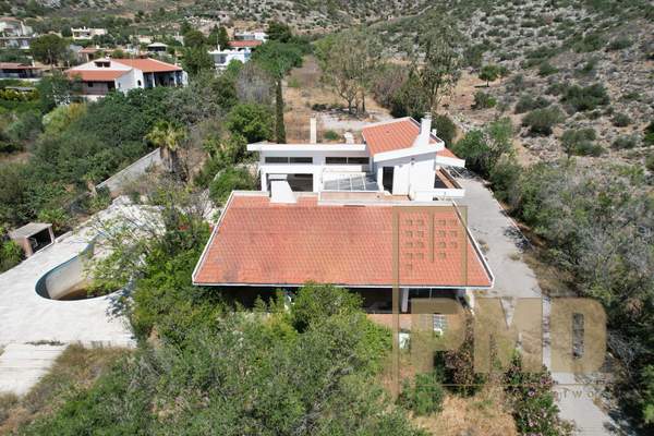 תמונת קורופי למכירה (1)