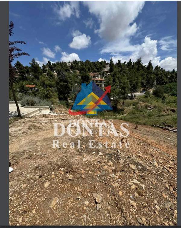 תמונת דיוניסוס למכירה (1)