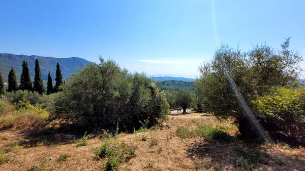 תמונת מרכז קורפו למכירה (1)