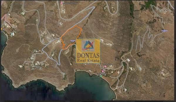 תמונת טינוס למכירה (0)