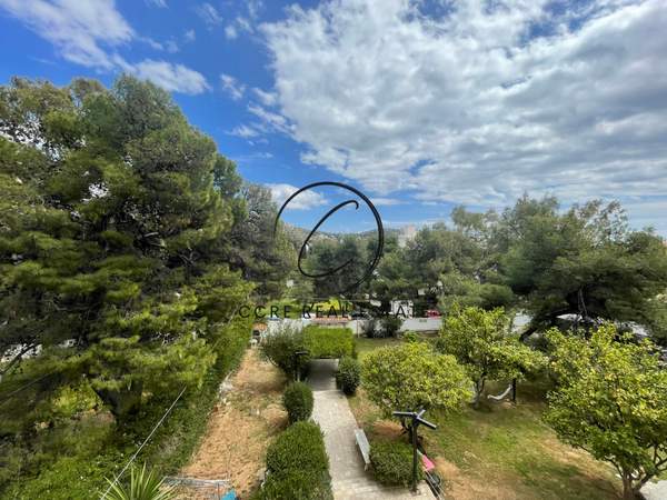 תמונת ווליאגמני, וארי - וולה -ווליאגמני למכירה (1)