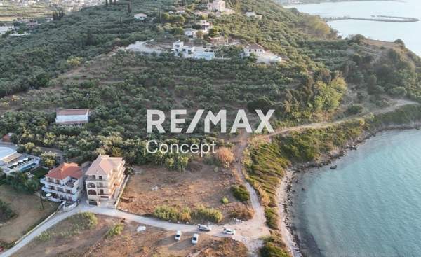 תמונת זקינתוס למכירה (0)