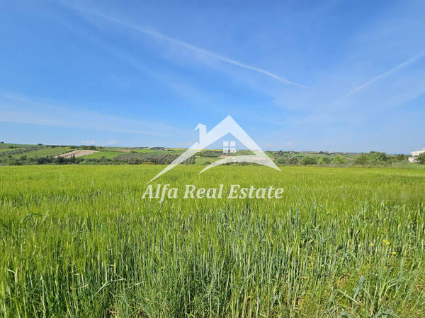 תמונת תרמיקוס, סלוניקי למכירה