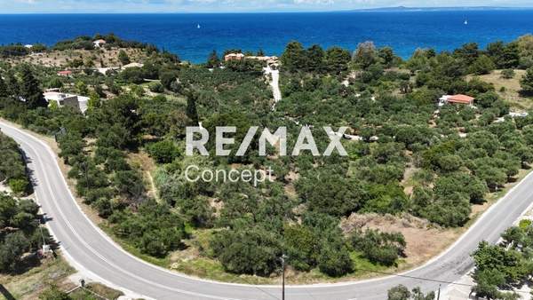 תמונת זקינתוס למכירה (0)