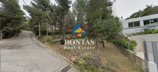 תמונת דיוניסוס למכירה (1)