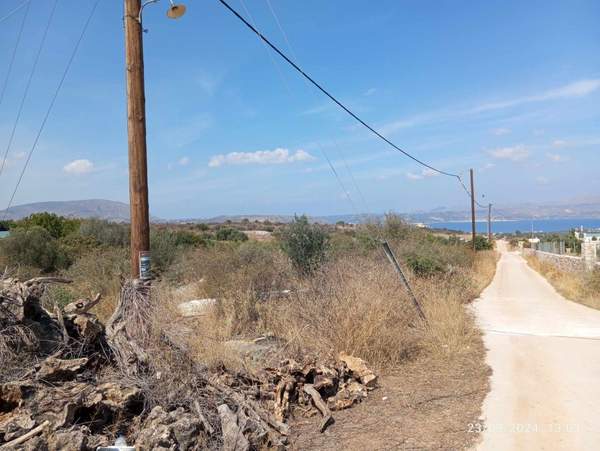 תמונת אפוקורנס למכירה (1)