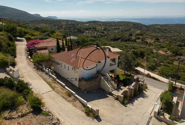 תמונת פילוס ונסטור, פלופונס למכירה (1)