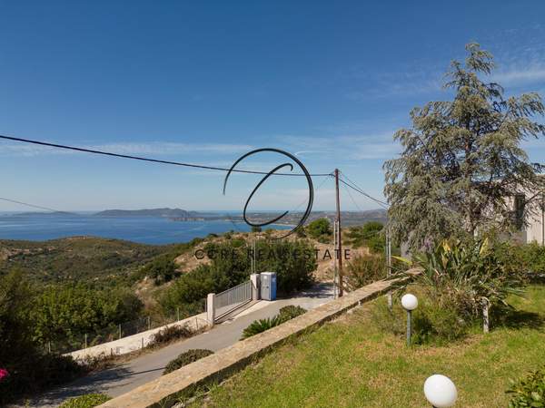 תמונת פילוס ונסטור, פלופונס למכירה (0)