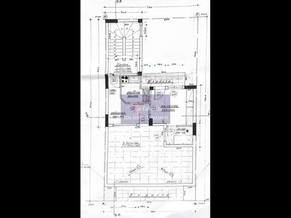 תמונת מוסקטו למכירה (1)