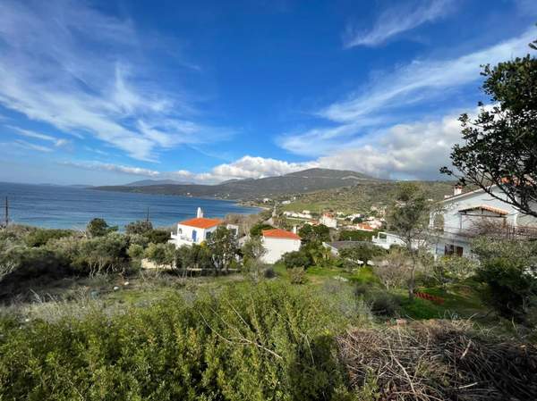 תמונת קאריסטוס למכירה (0)