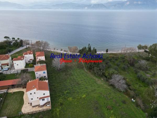 תמונת איגאליאה, פלופונס למכירה (0)