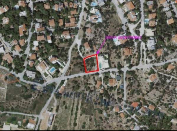 תמונת פאנטלי למכירה (0)