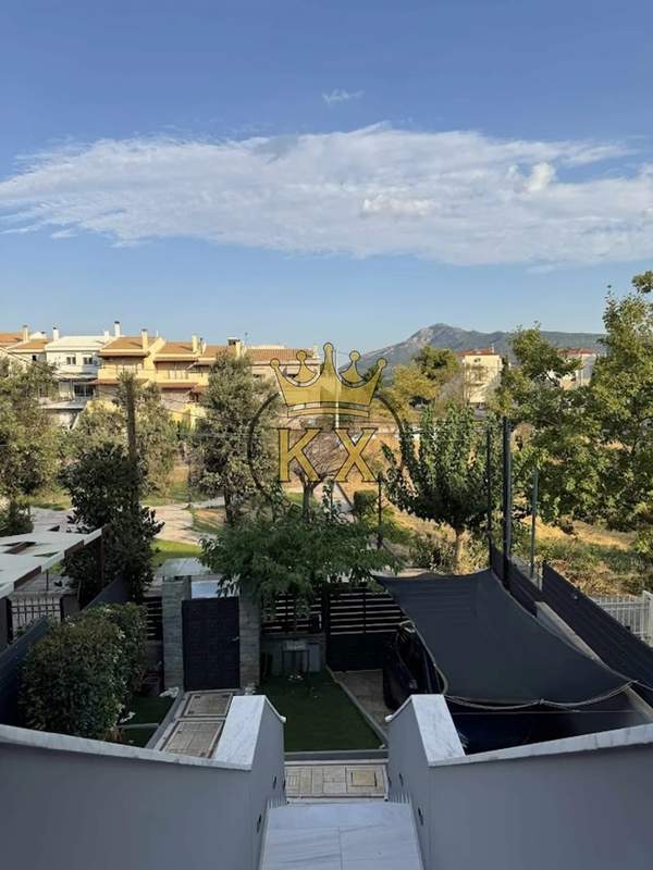 תמונת דיוניסוס למכירה (1)