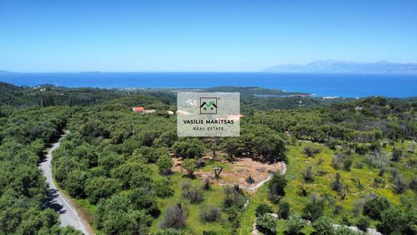 תמונת קורפו למכירה (0)