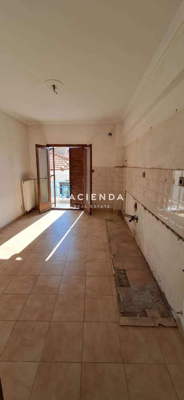 תמונת פאיליה - חורטיאטיס למכירה (0)