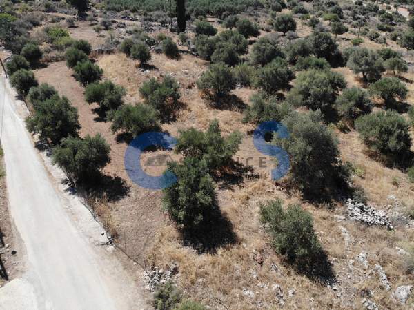 תמונת אפוקורנס למכירה (1)