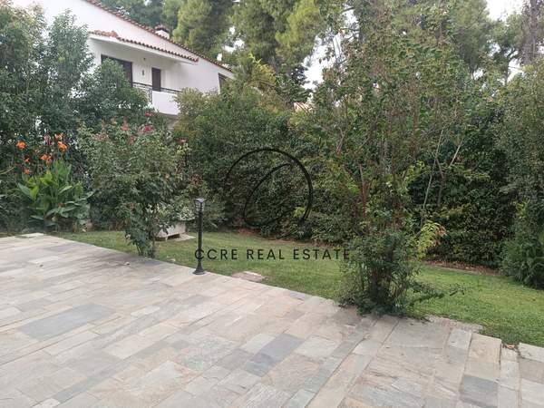 תמונת קיפיסיה, אתונה למכירה (1)